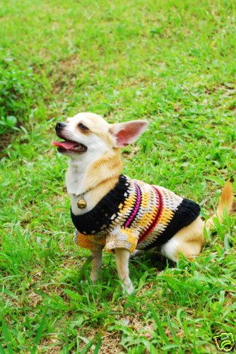 XXS XS Hand Made Maltese Shihtzu Dog Sweater Clothes Crocheted D826 