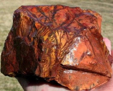   NEW FIND AVATAR JASPER End Cut slab/rough/cab/rock/agate/specimen