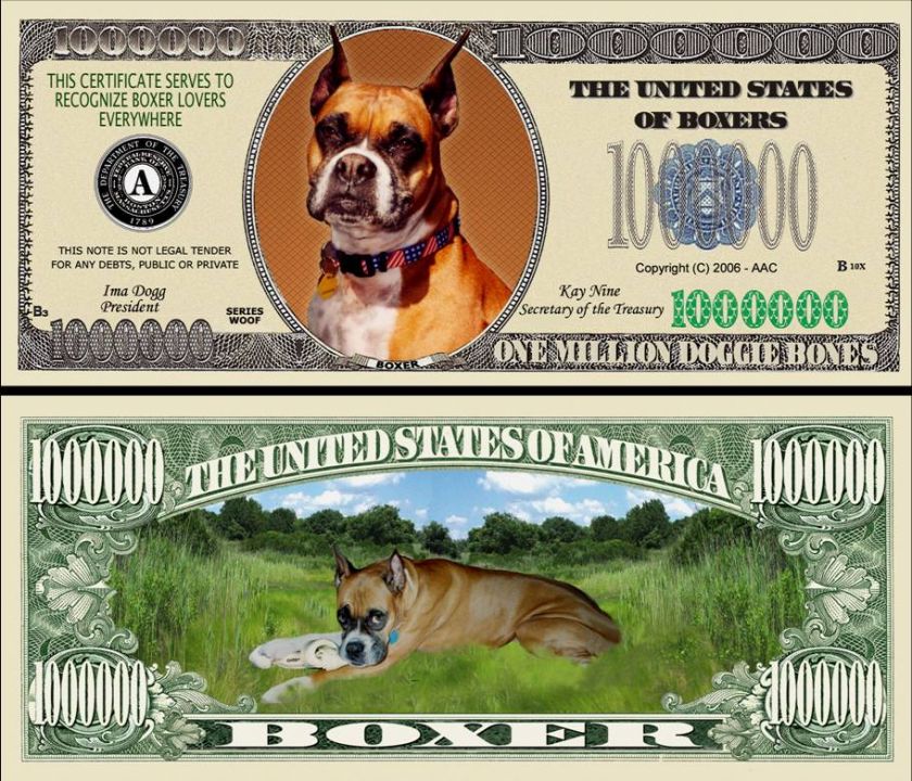 BOXER DOG DOLLAR BILL (25 ea)  