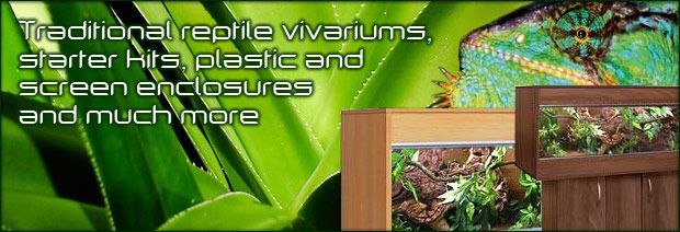 Home items in Internet Reptile 