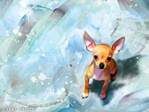 CHIHUAHUA dog pet original art painting CANVAS GICLEE PRINT  