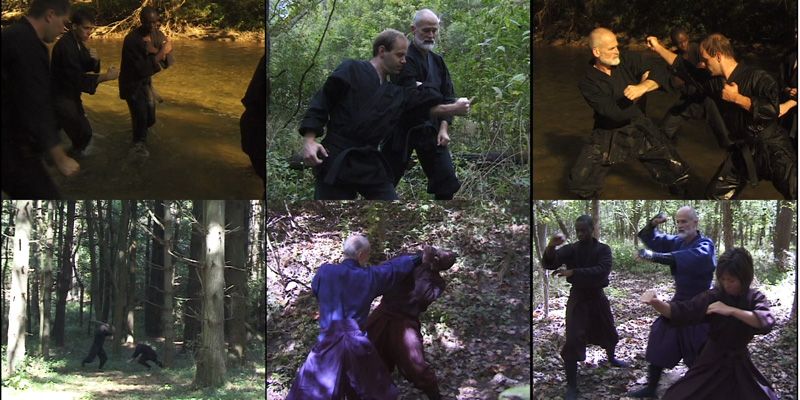 Togakure Ryu Ninpo Taijutsu Kihon Kata DVD Bujinkan  