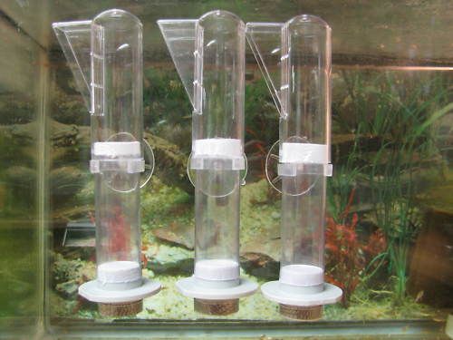 Fish egg tumblers perfect for Cichlids and Tropicals  