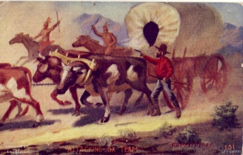 ATTACKING OX TEAM iNDIANS SURROUND WAGON TRAIN  