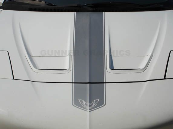 93 97 FIREBIRD TRANS AM STRIPE KIT TA  