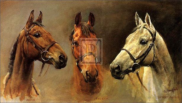 CRAWFORD Three Kings red rum desert orchid arkle  