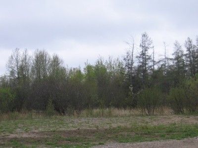   HOMESITE ON MICHIGANS UPPER PENINSULA   PICTURESQUE BESSEMER  