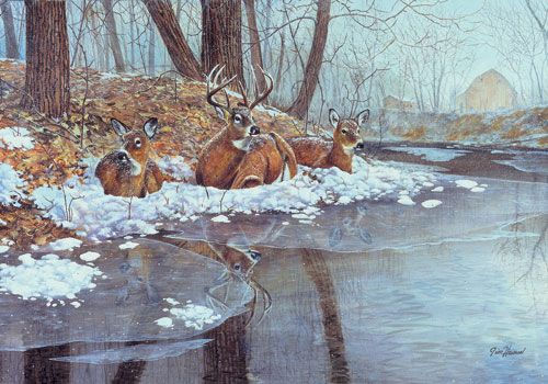 Jim Hansel S/N DEER PRINT CREEK SIDE  