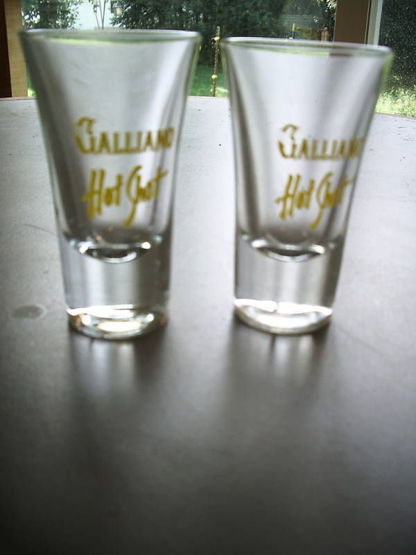 GALLIANO HOT SHOT SHOT GLASSES  