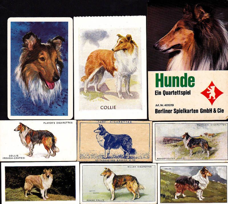 14 Different Vintage SCOTCH COLLIE Cigarette Dog Cards  