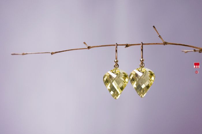 Solid 14k . Large Lemon Citrine Briolette Earrings  