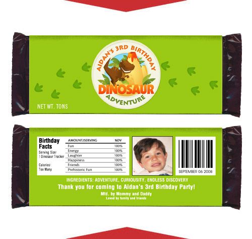 DINOSAUR Boy Birthday Party Favors CANDY WRAPPERS  