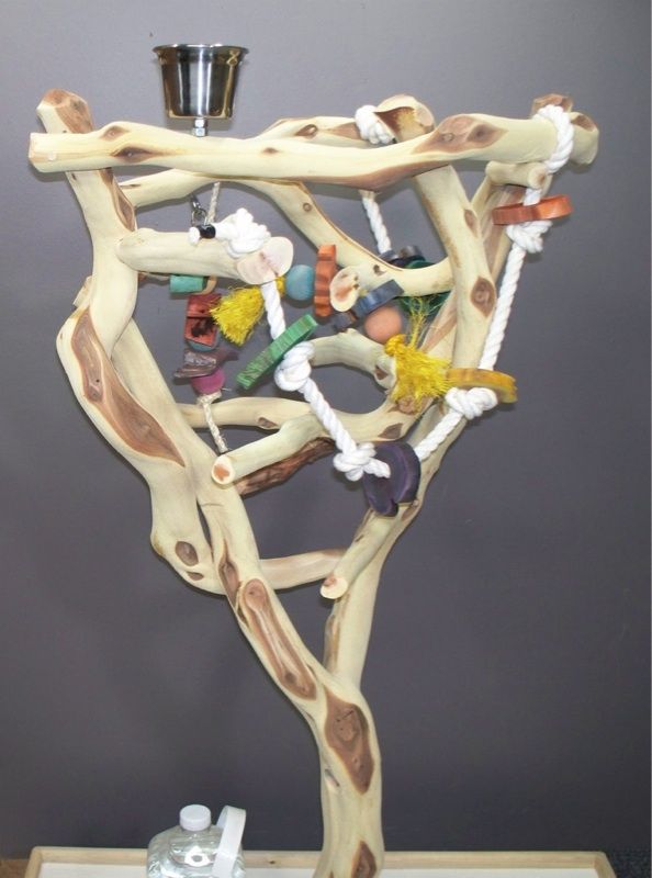 Manzanita Parrot Tree Bird Stand Toy Play Gym like Java Wood 