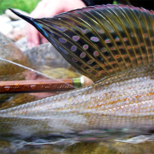 Hardy St. George Jr. Agate Fly Reel 4 Trout Bamboo Rod  