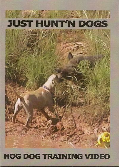 hog wild boar bay dog training hunting dvd new format dvd region free