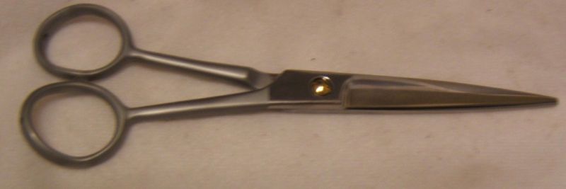 Arius Eickert Professional 6.5 Delight Concave Shears  