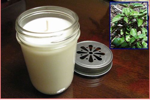 Patchouli Soy 8oz Jar Triple Scented 50+hrs  