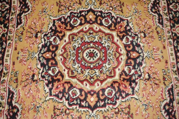 Persian Medallion Beige 82x910 Area Rug Carpet AREA SIZE 9x12 FREE 