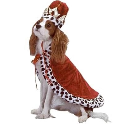 NEW Dog / Puppy King / Royal Costume size XS  