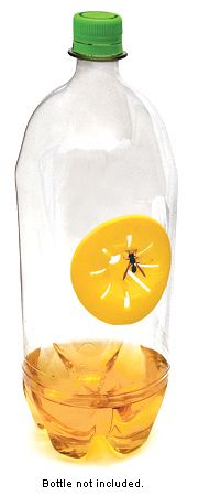 Wasp Bee Hornet Yellow Jacket Fly Bug Insect Trap 6pk  