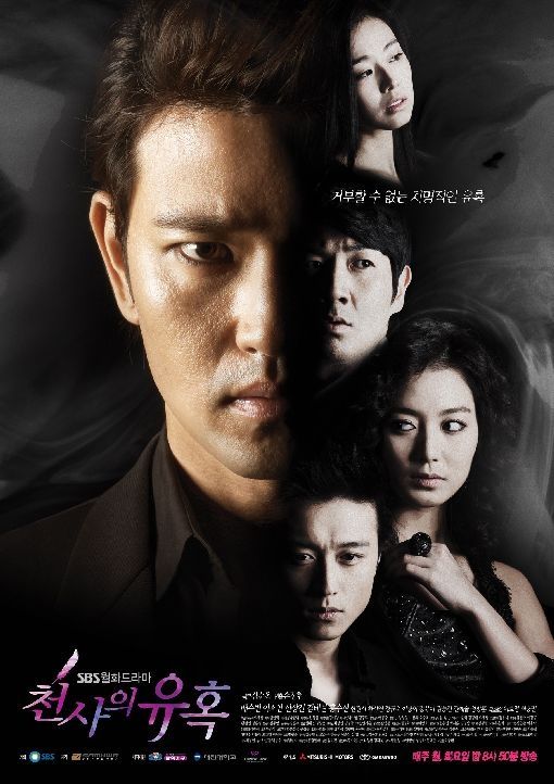 Temptation of an Angel   Korean Drama Eng Sub 8 DVD set  