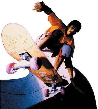 Sports RADICAL SKATEBOARD Wallpaper Mural Border  